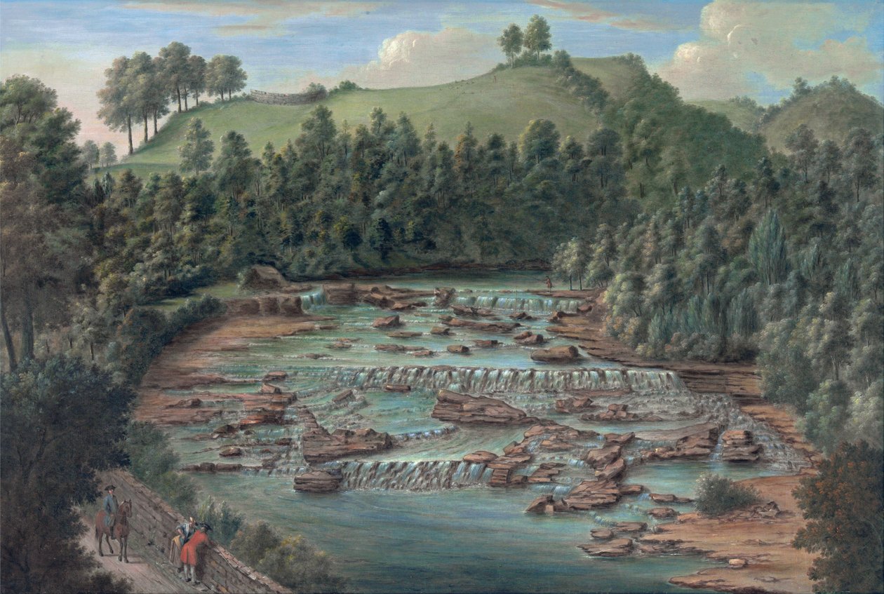 Cascate di Aysgarth, Yorkshire da Balthazar Nebot