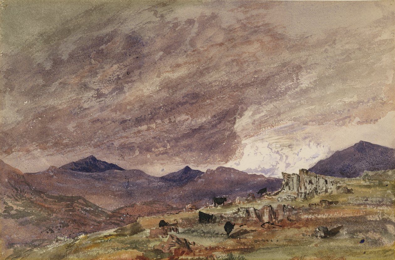 Paesaggio montuoso con cielo tempestoso da Barbara Leigh Smith Bodichon