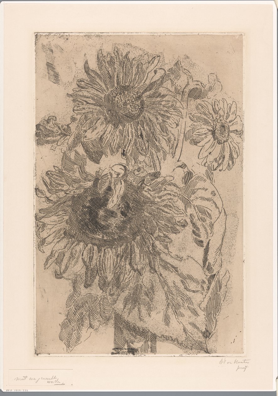 Tre girasoli in un vaso da Barbara Elisabeth van Houten (signed by artist)