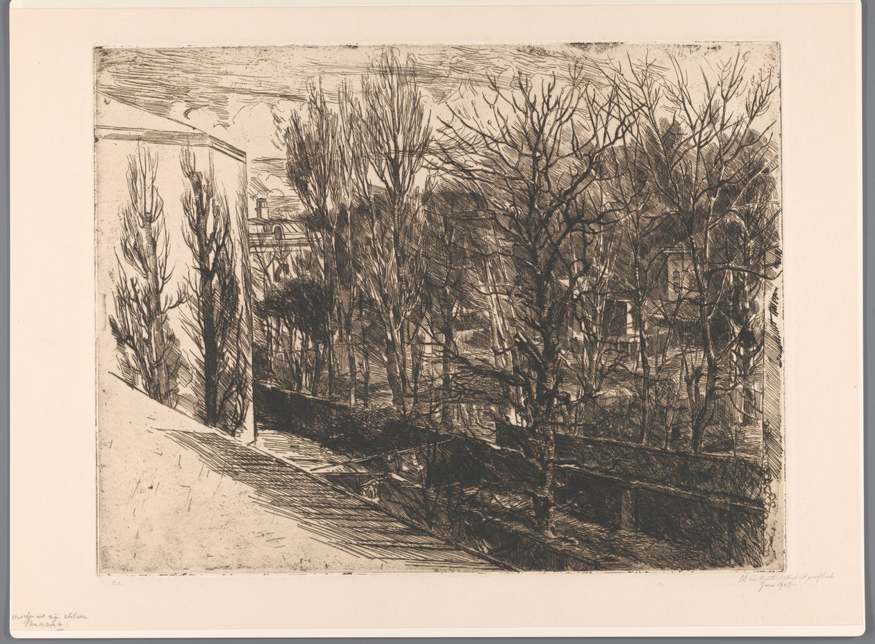 Vista dal mio atelier da Barbara Elisabeth van Houten (signed by artist)