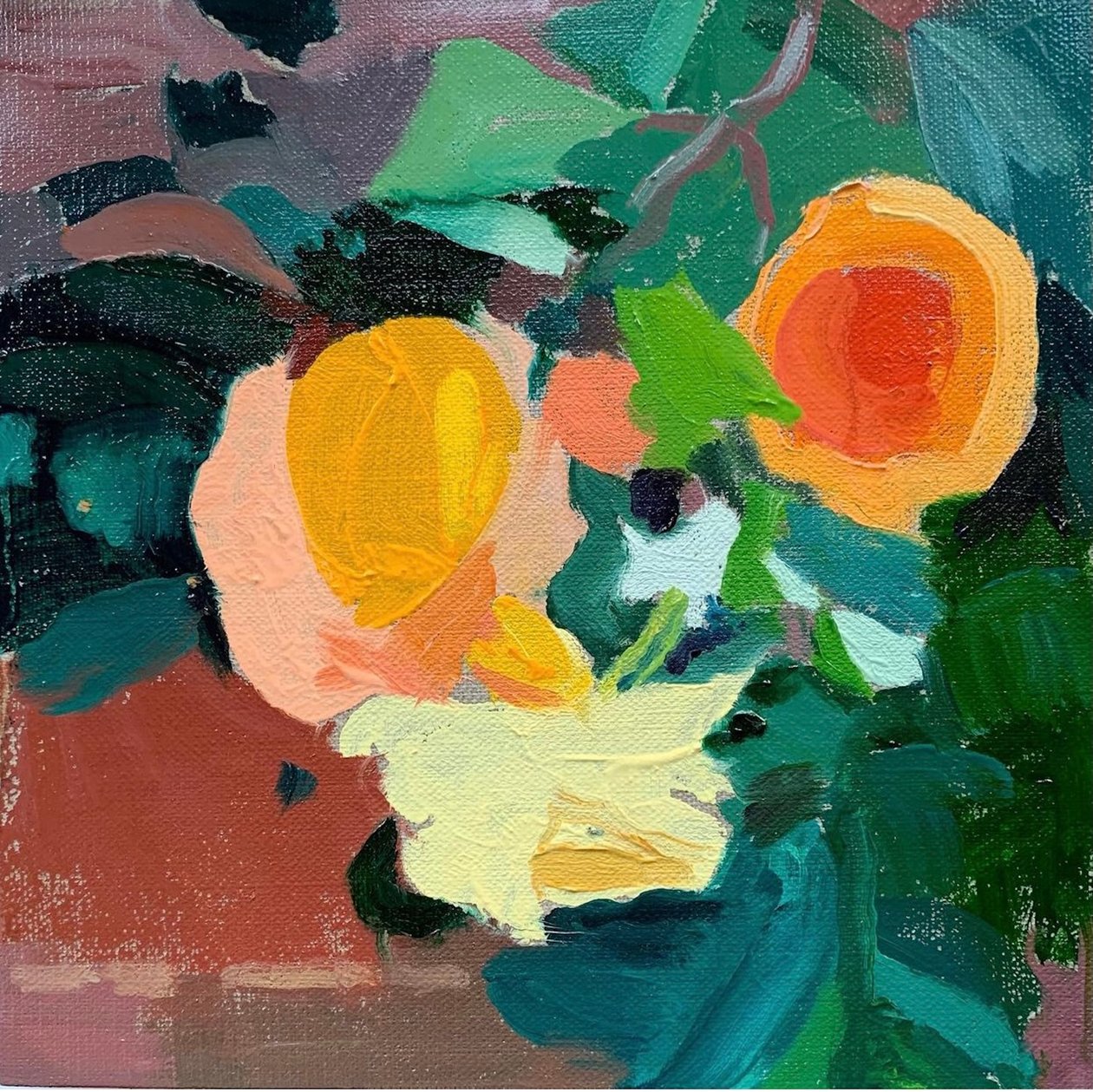 Ultima rosa d