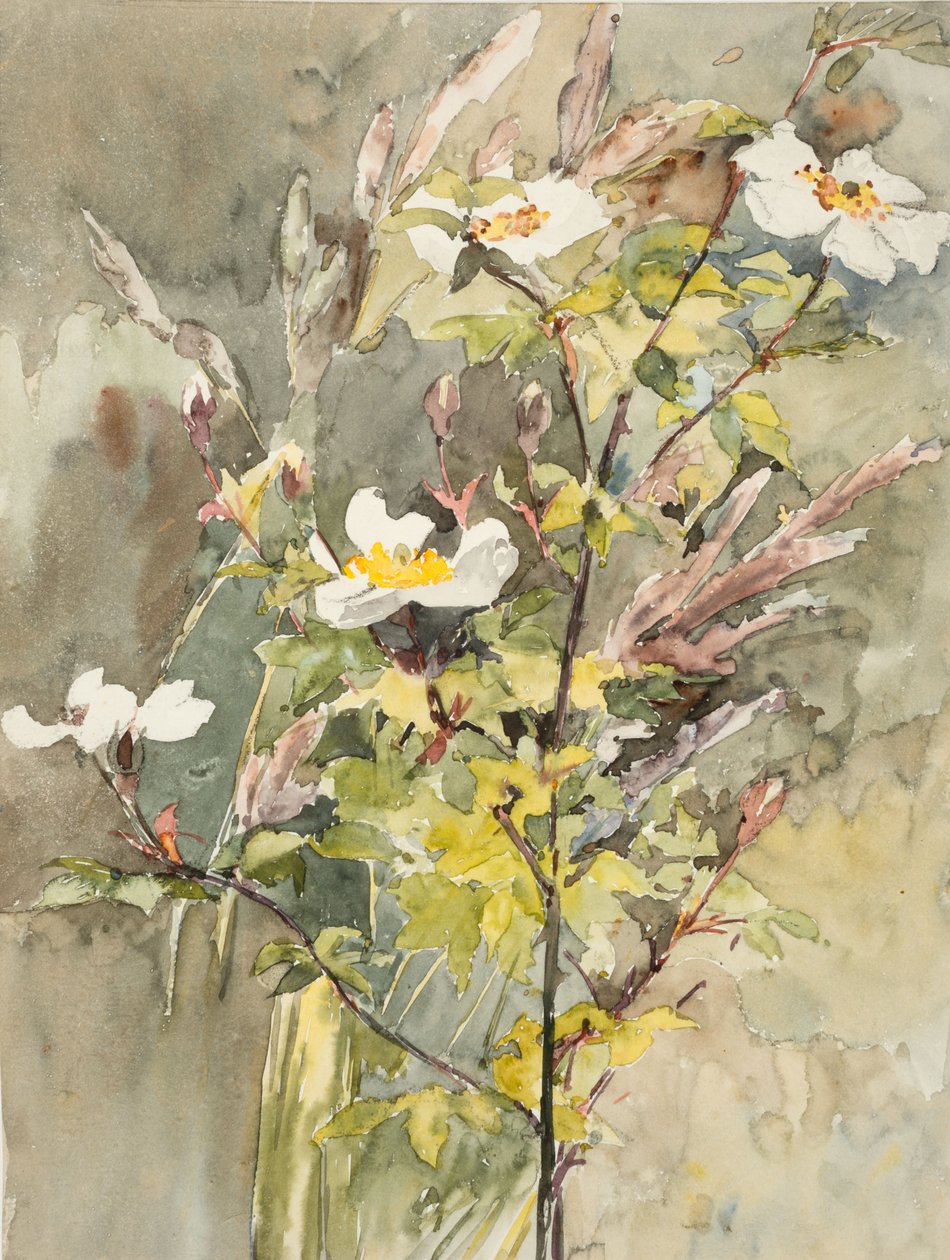 Fiori selvatici da Barbara Leigh Smith Bodichon