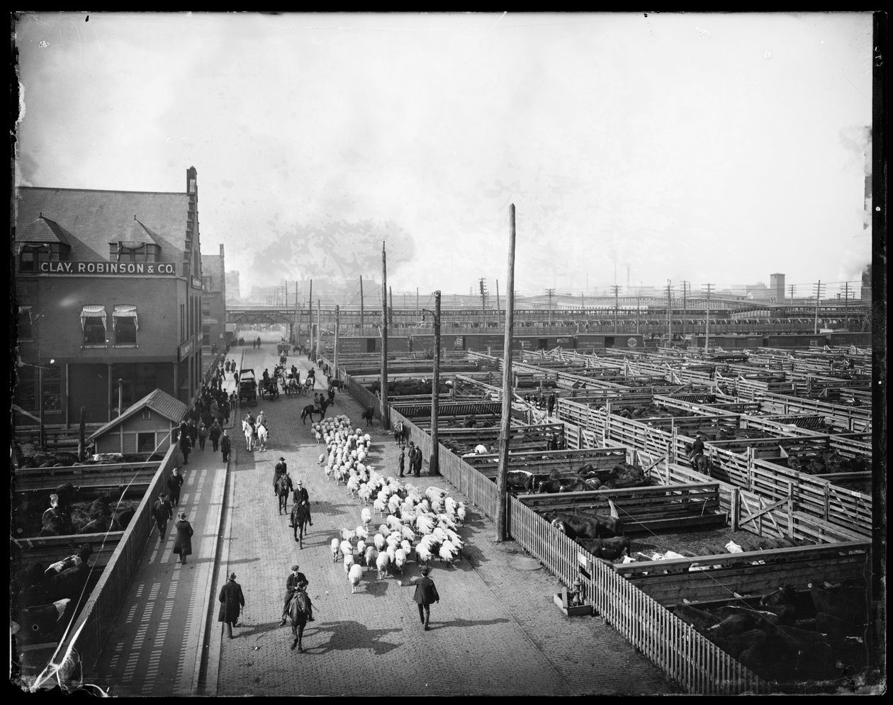 Union Stock Yards, Chicago, Illinois, USA, c.1910 da Barnes and Crosby