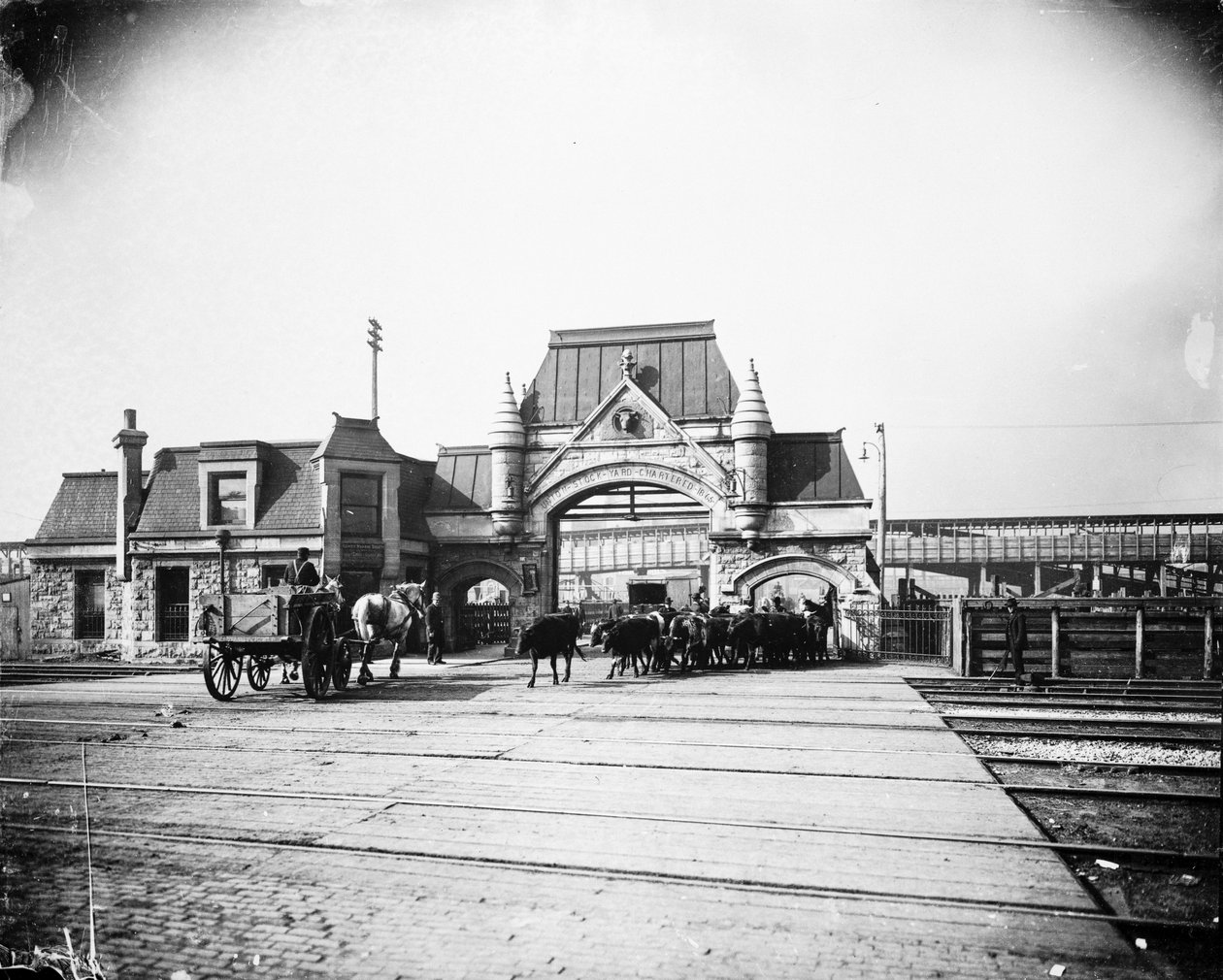 Porta degli Union Stock Yards su Exchange Avenue, Chicago, Illinois, USA, c.1905 (foto in b/n) da Barnes and Crosby