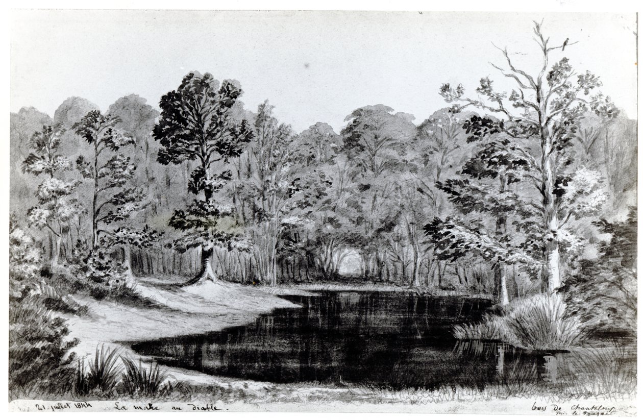 La piscina del diavolo nel Bois de Chanteloup, 1844 da Maurice Sand