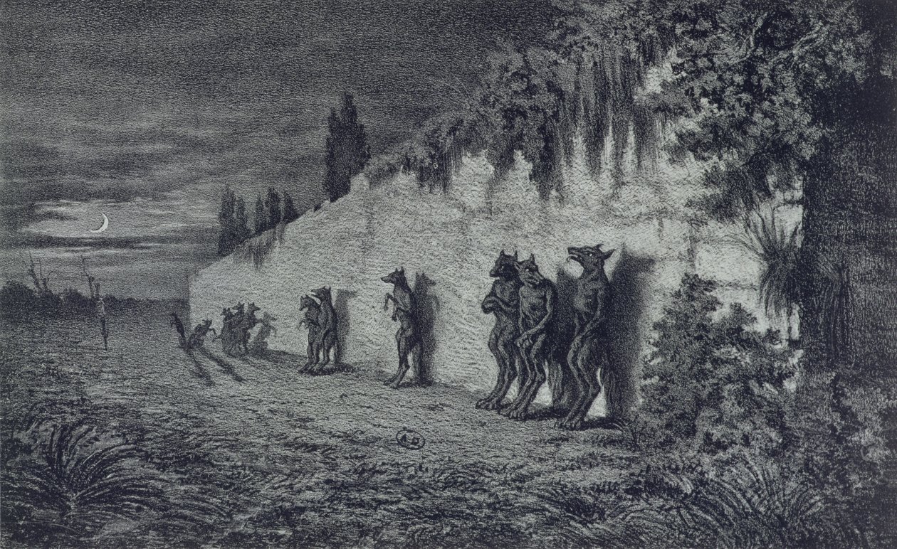 Lupi mannari, illustrazione per 