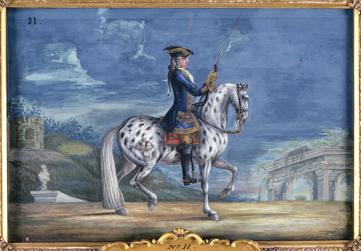 Un cavallo appaloosa della Scuola di Equitazione Spagnola, dallo stud imperiale in Boemia da Baron Reis Eisenberg