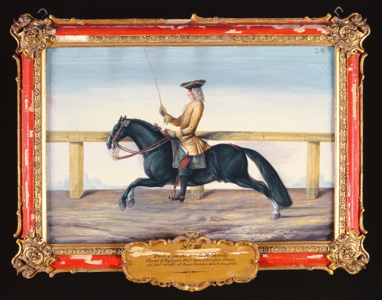 No. 28 Un cavallo spagnolo nero della Scuola di Equitazione Spagnola eseguendo un movimento di dressage da Baron Reis Eisenberg