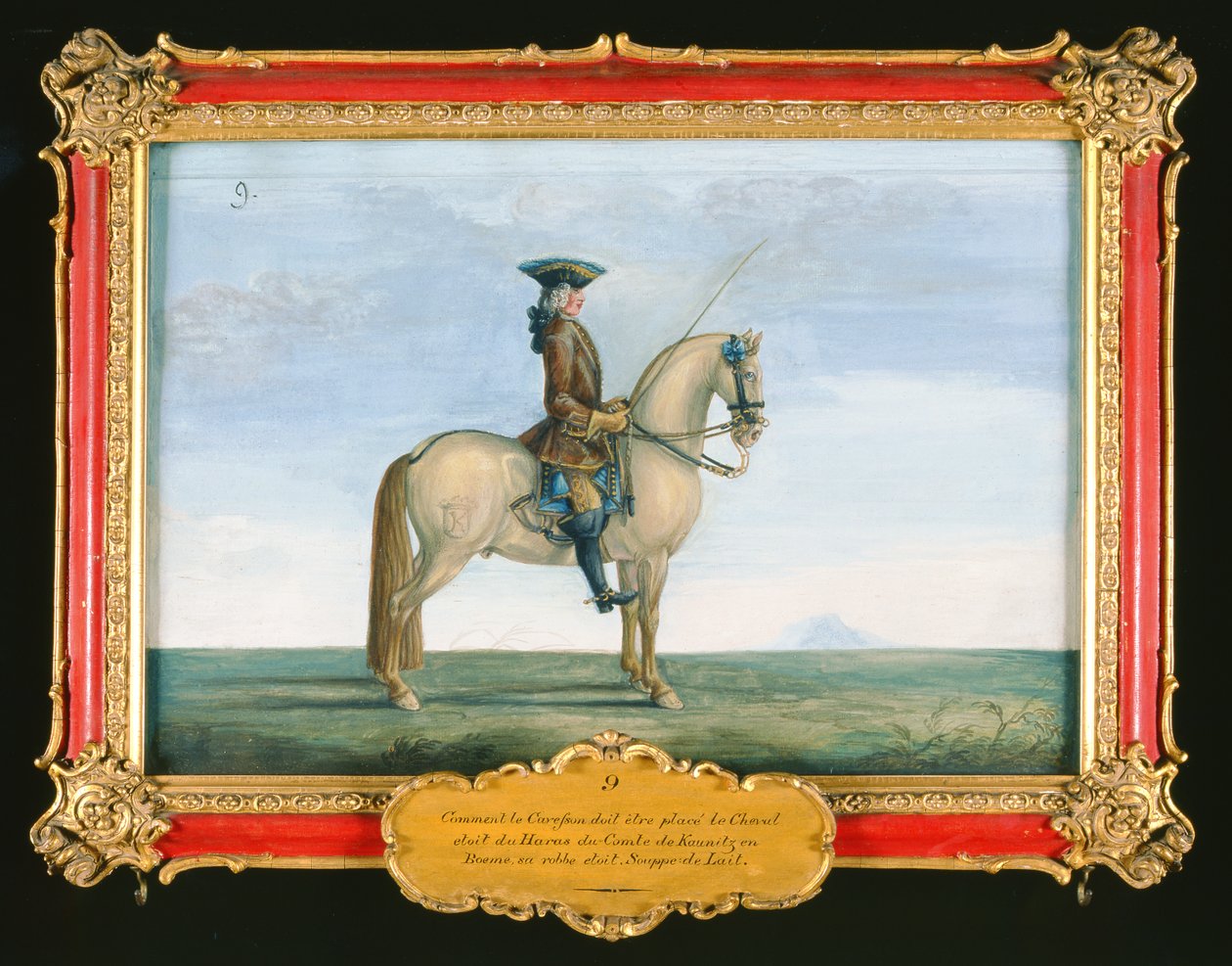 No. 9 Un cavallo grigio della Scuola di Equitazione Spagnola, dallo stud del conte di Kaunitz in Boemia da Baron Reis Eisenberg