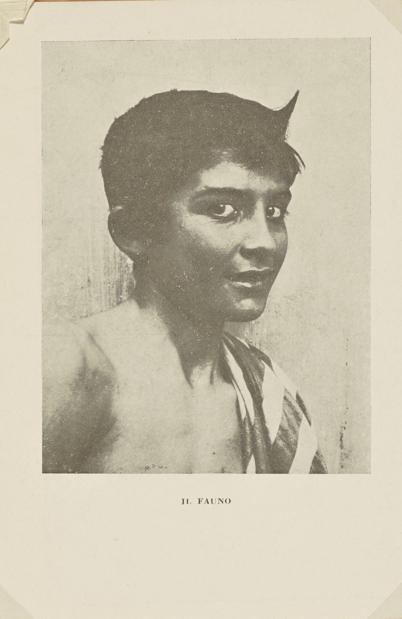 Il Fauno da Baron Wilhelm von Gloeden