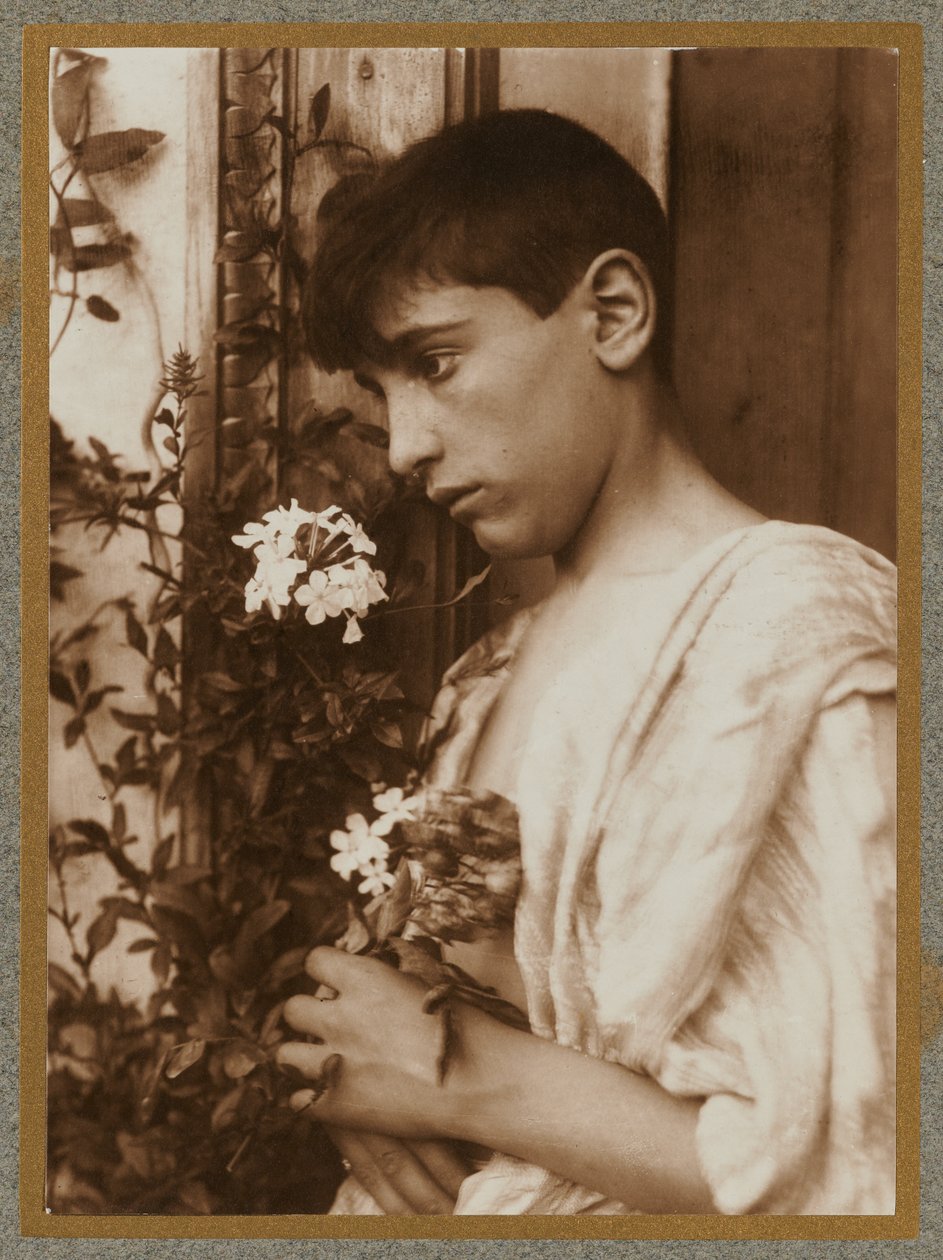 Ragazzo siciliano da Baron Wilhelm von Gloeden