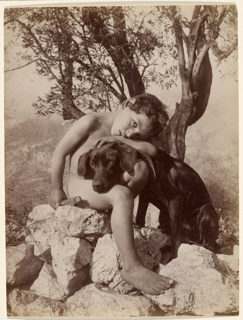 [Ragazzo nudo e cane] da Baron Wilhelm von Gloeden
