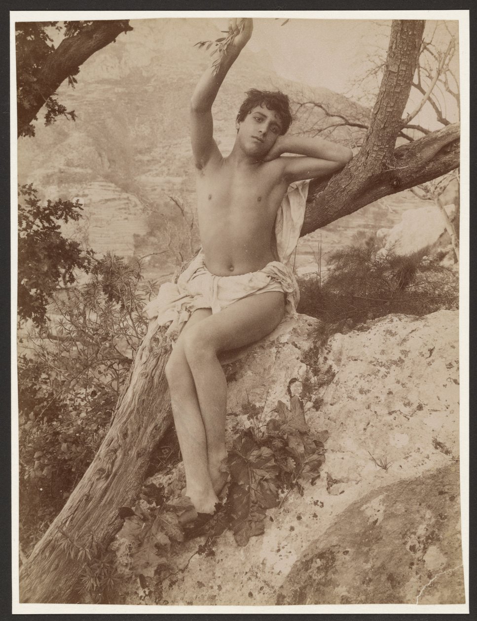 [Ragazzo su un albero con un braccio alzato] da Baron Wilhelm von Gloeden