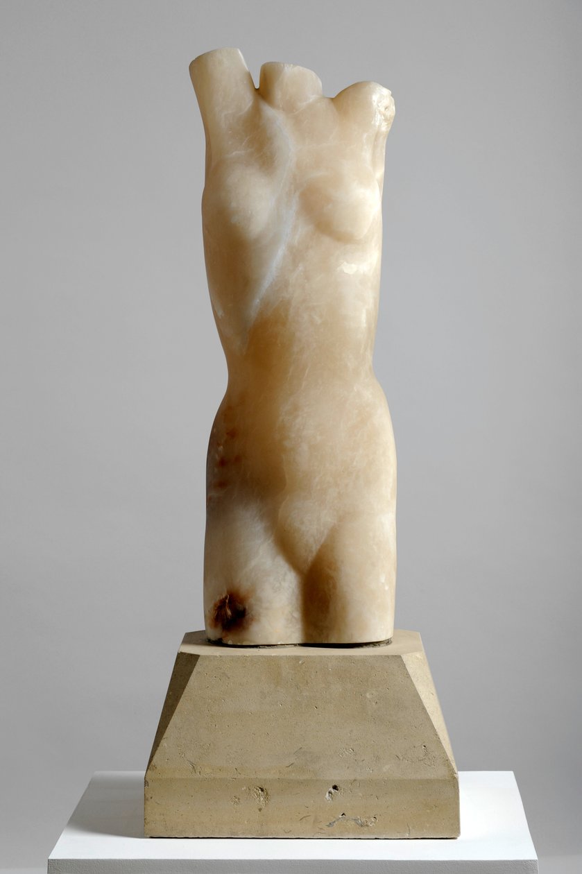 Torso da Barry Hart