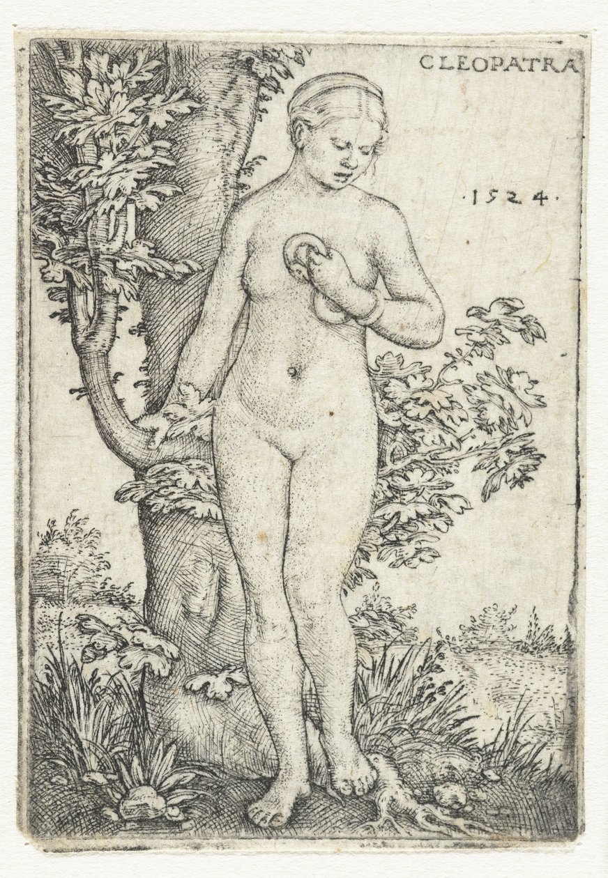La morte di Cleopatra con un serpente vicino a un albero di fichi da Barthel Beham
