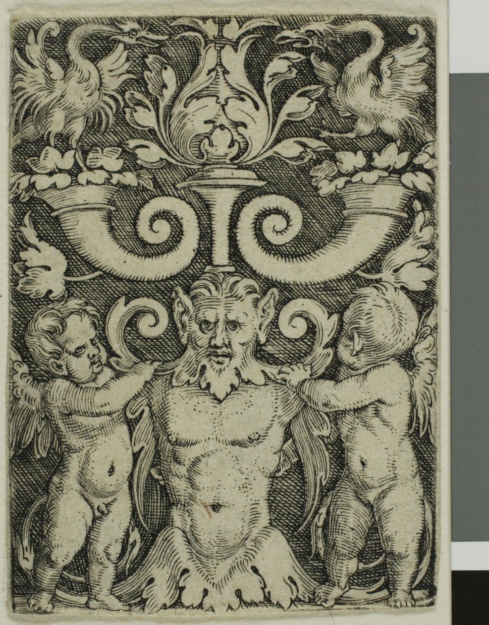 Ornamento con un mezzo busto maschile tra due geni da Barthel Beham