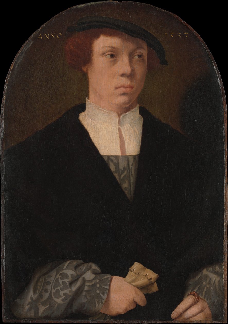 Ritratto di un uomo, 1533 da Bartholomaeus Bruyn the Elder
