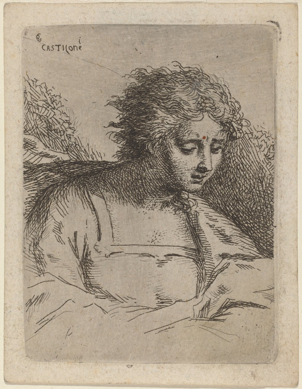 Figura a mezzo busto che legge da Bartholomäus Ignaz Weiss