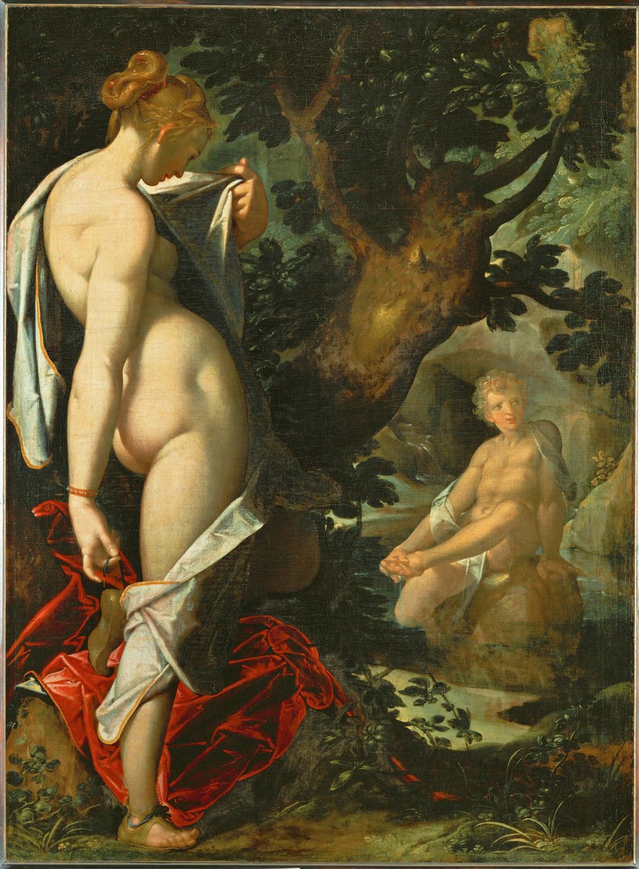 Ermafrodito e la ninfa Salamacis da Bartholomaeus Spranger
