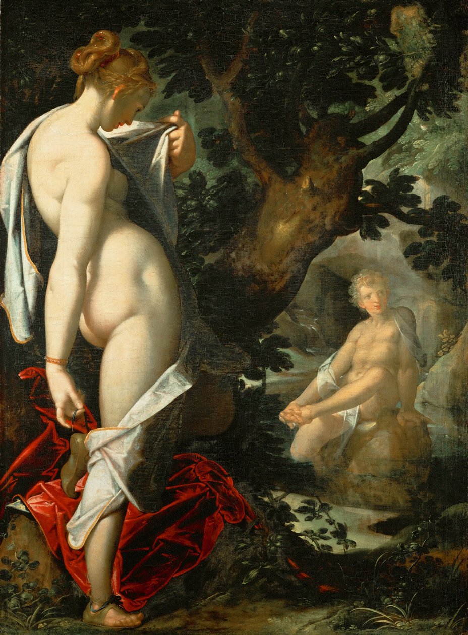 Tedesco: Hermaphroditus und die Nymphe Salmacis Hermaphroditus e la ninfa Salmacis da Bartholomeus Spranger