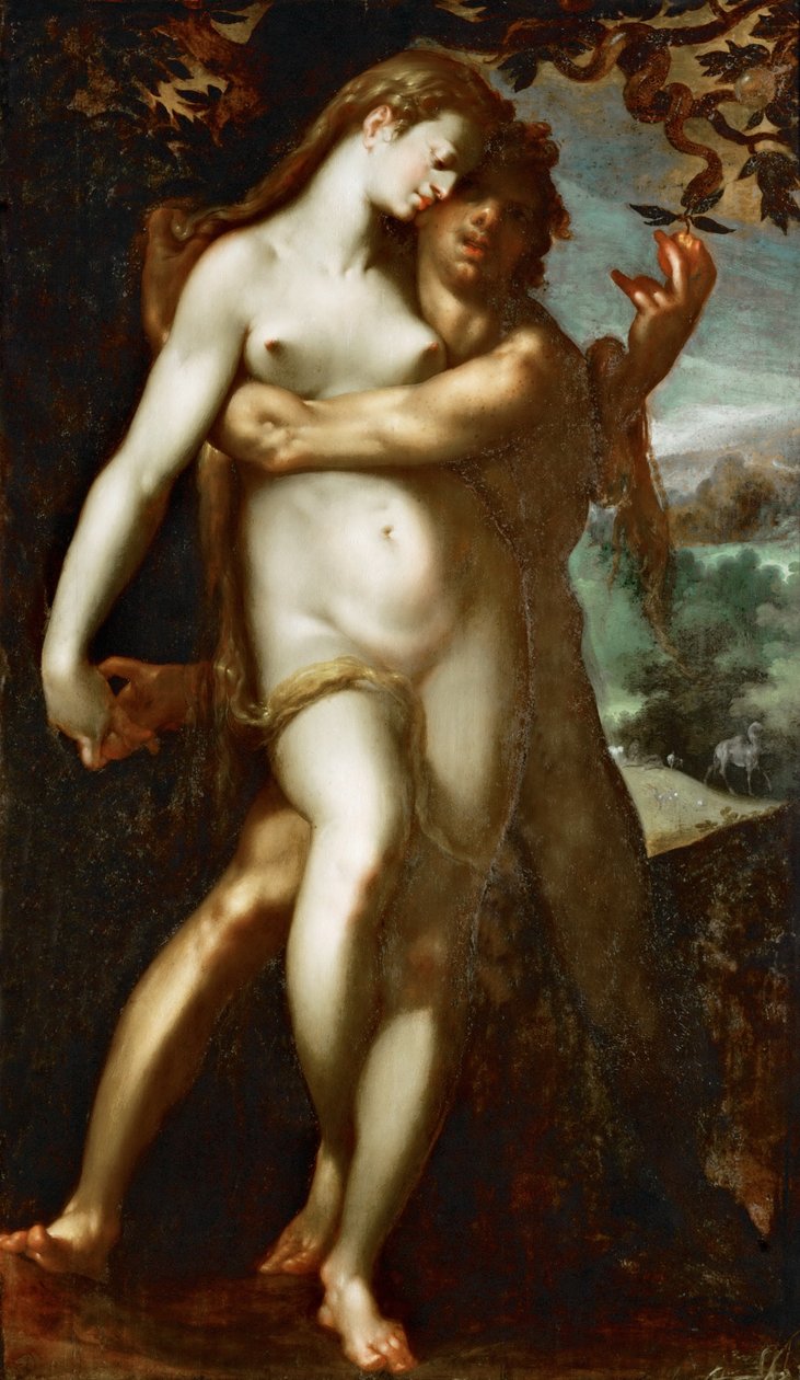 Caduta di grazia da Bartholomeus Spranger