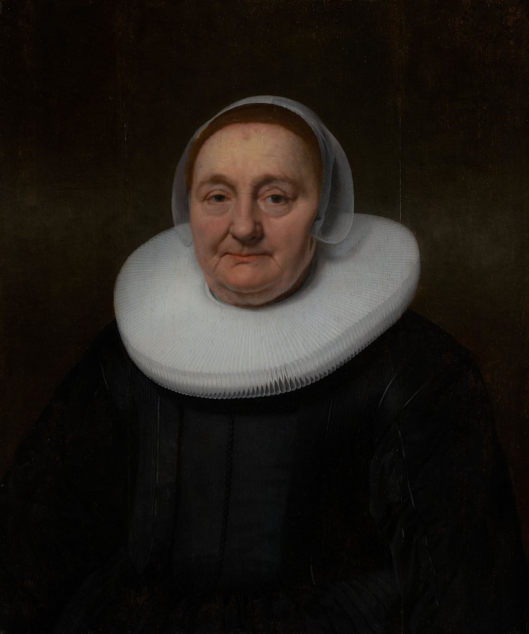 Ritratto di donna da Bartholomeus van der Helst