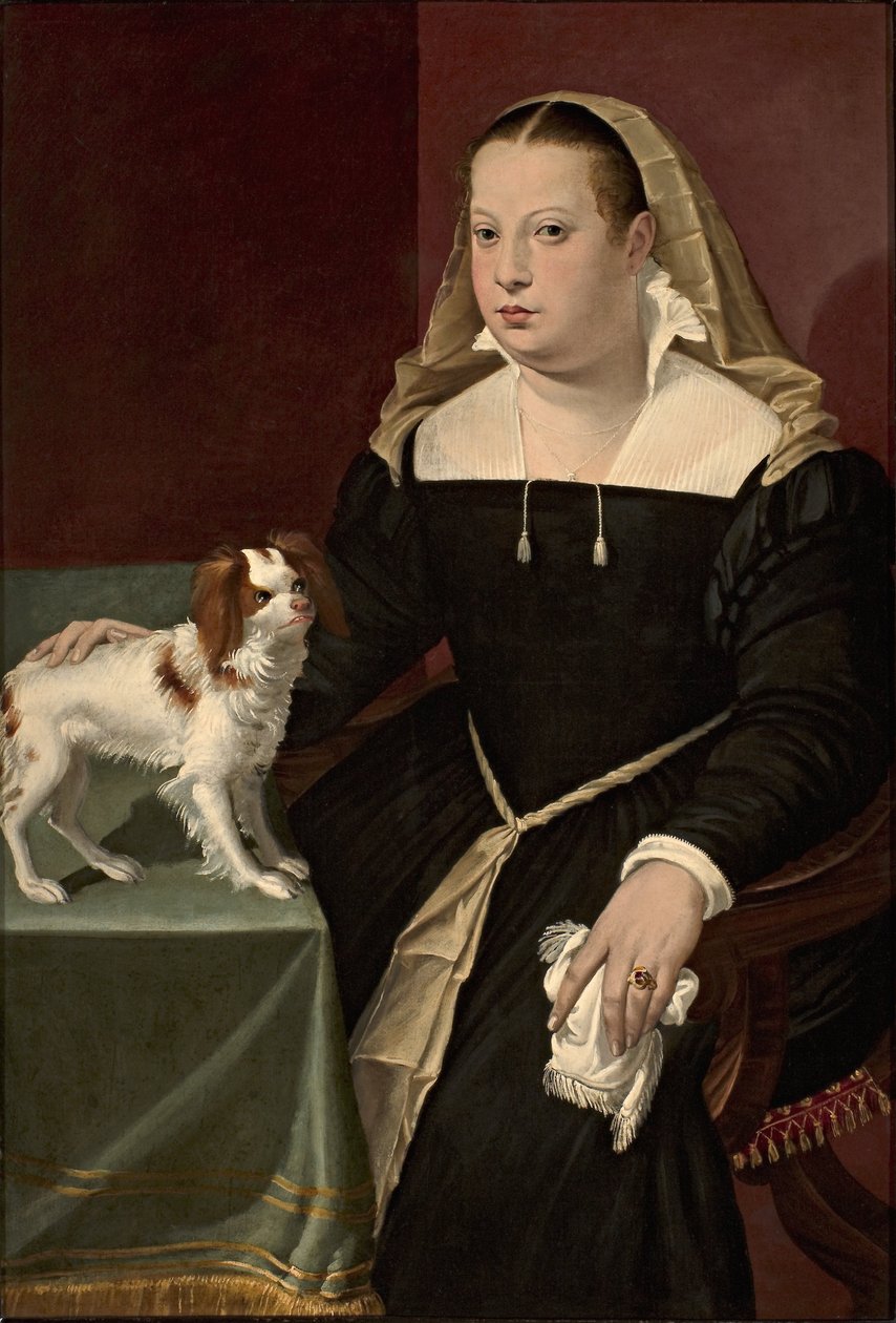 Ritratto di dama con cagnolino da Bartolomeo Passarotti