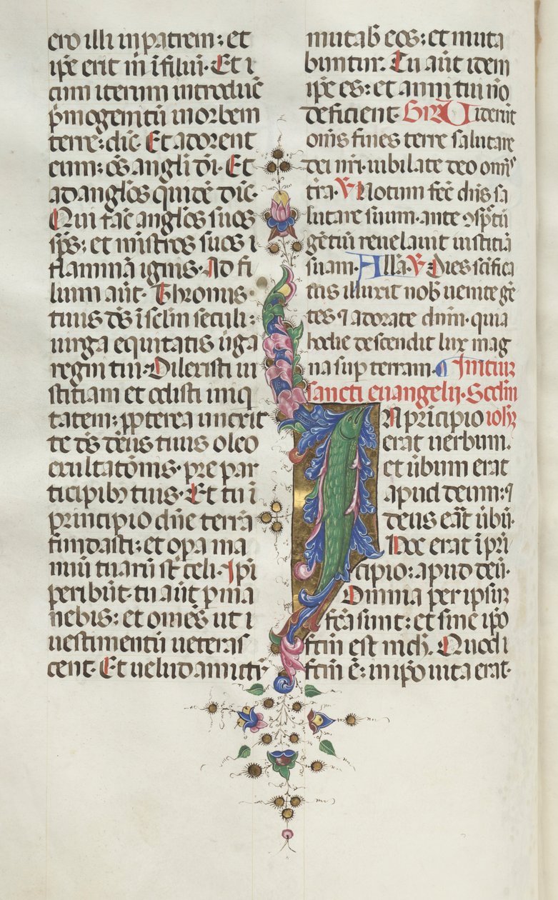 Messale: Fol. 22v: Foliage con pesci, 1469 da Bartolomeo Caporali