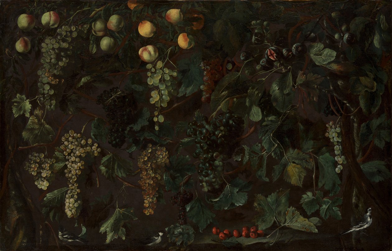 Viti e frutta, con tre ballerine, ca. 1615-18 da Bartolomeo Cavarozzi