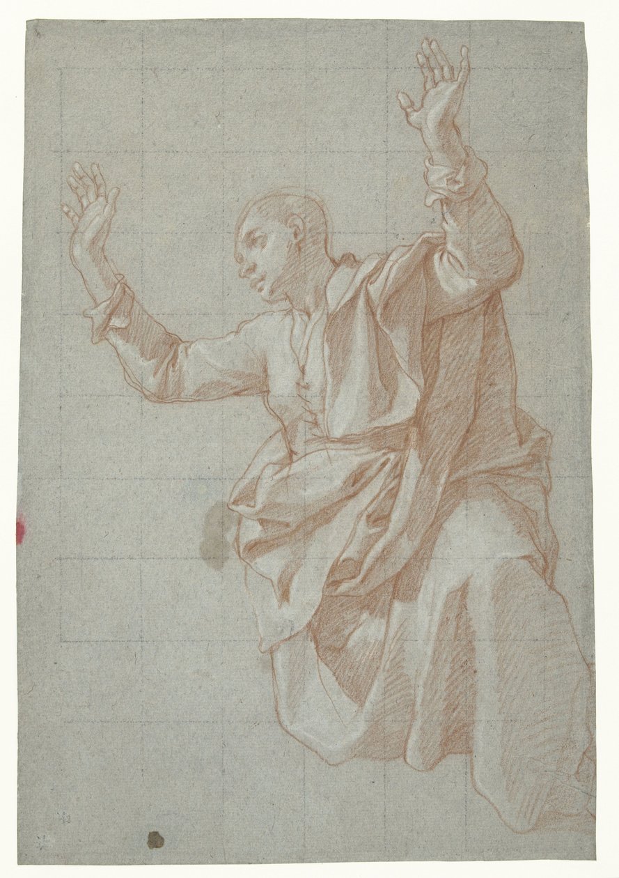 Studio di un giovane da Bartolomeo Cesi
