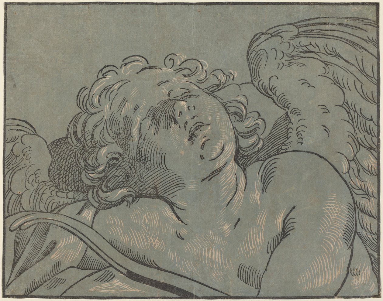 Cupido addormentato da Bartolomeo Coriolano after Guido Reni