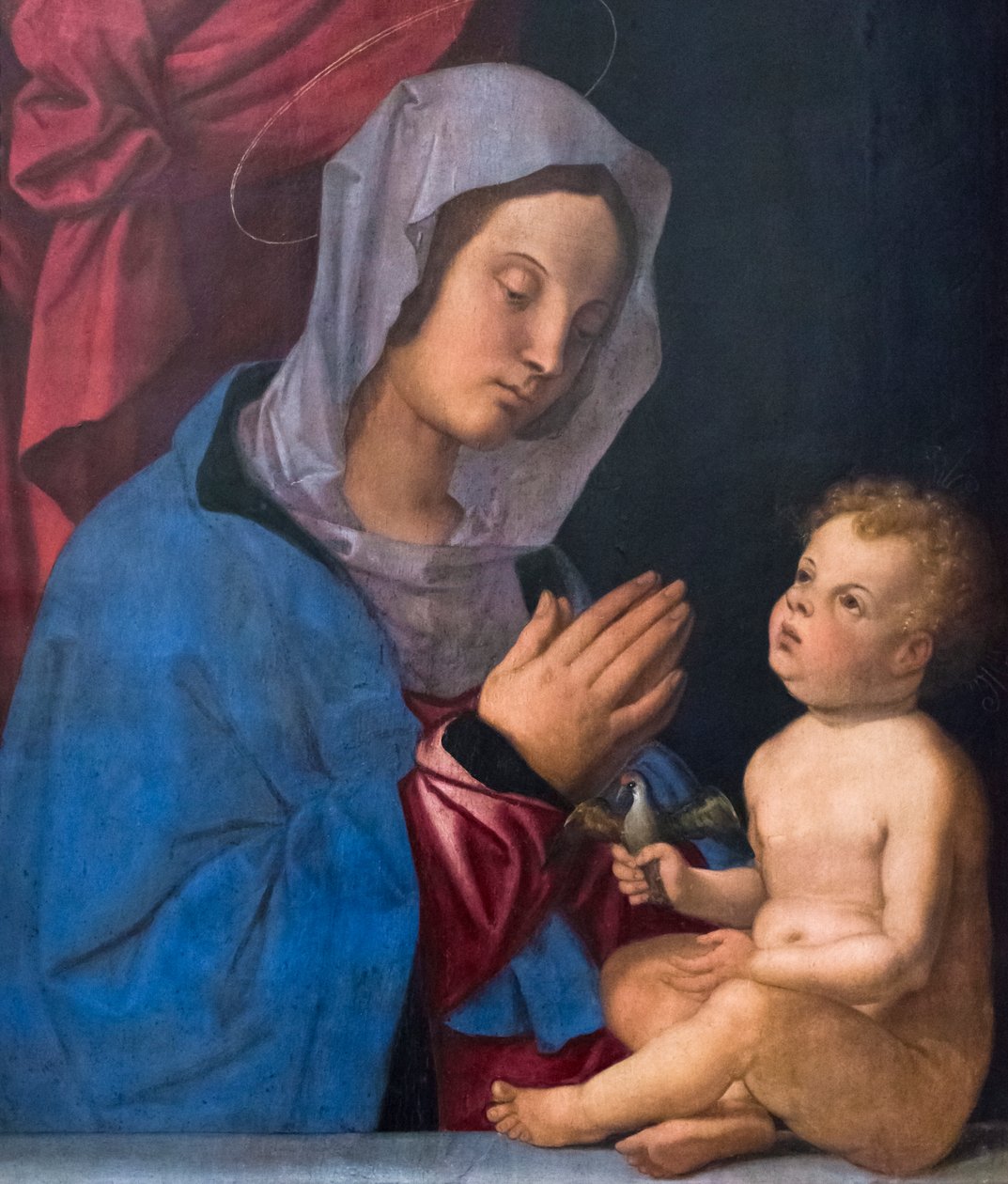 Madonna col Bambino, c.1503 da Bartolomeo Montagna