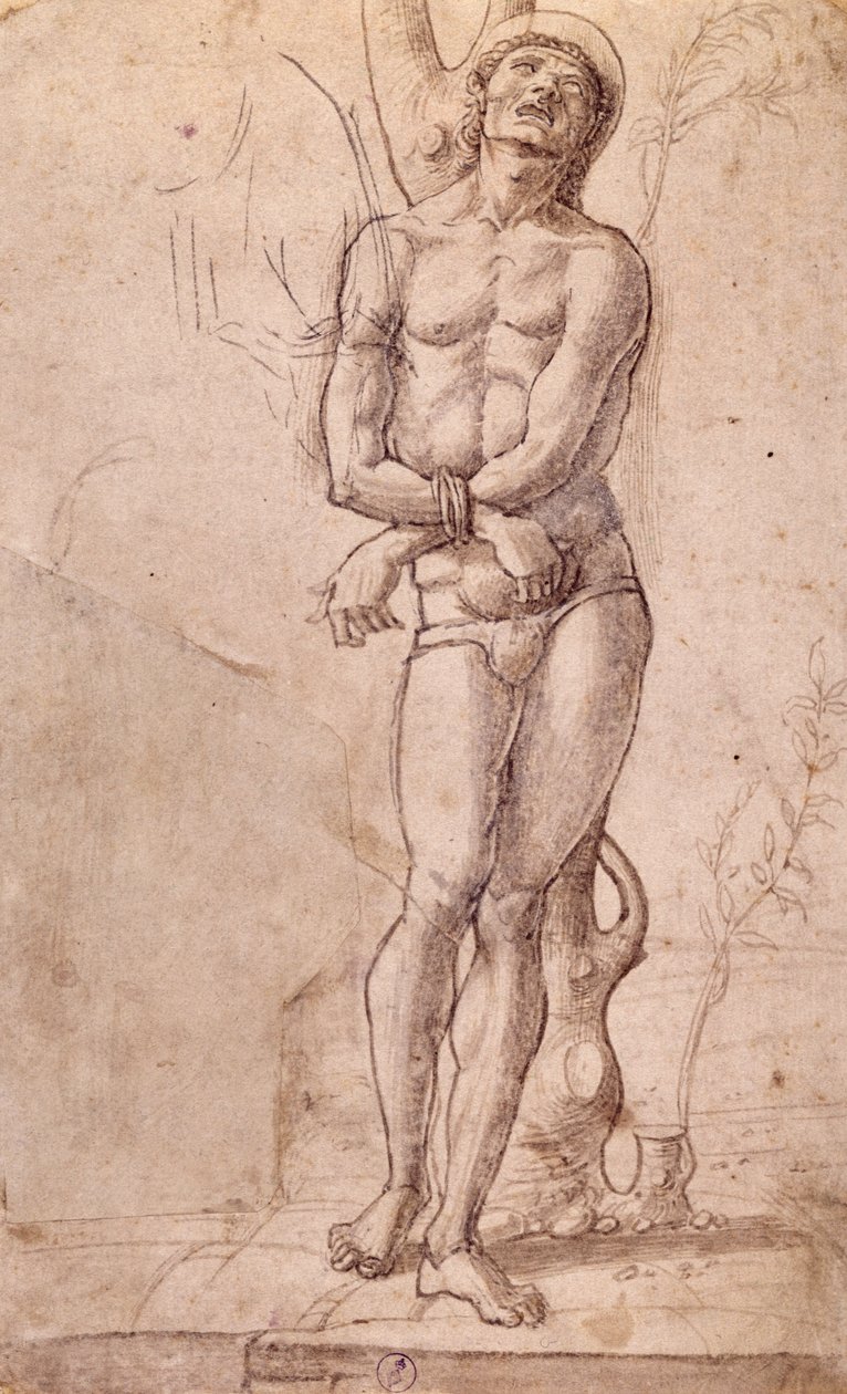 San Sebastiano, ca 1475, disegno di Bartolomeo Montagna, penna e inchiostro marrone, con lavaggio marrone, cm 20x15, Italia da Bartolomeo Montagna