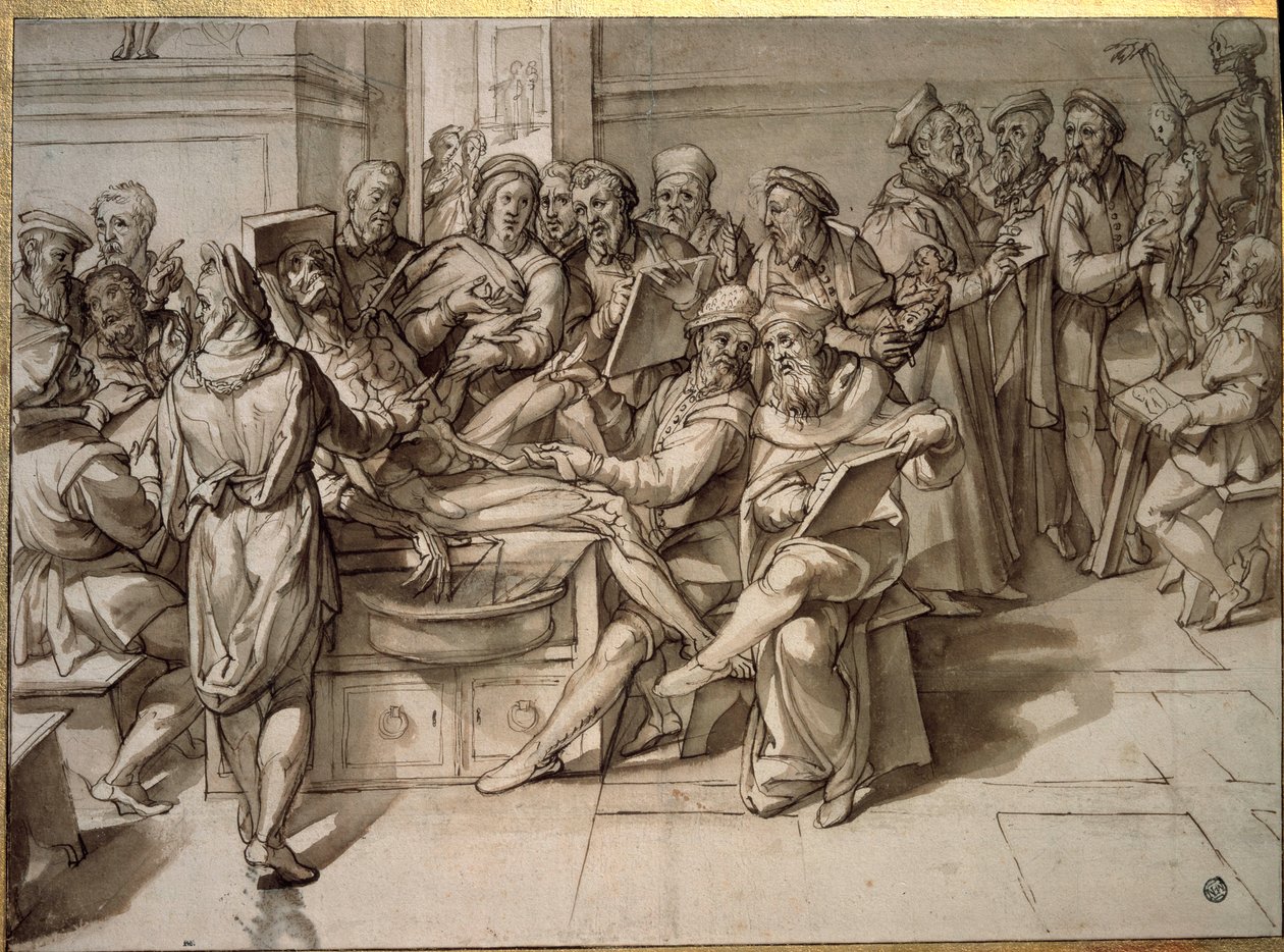 Lezione di anatomia tenuta da Michelangelo Buonarroti da Bartolomeo Passarotti