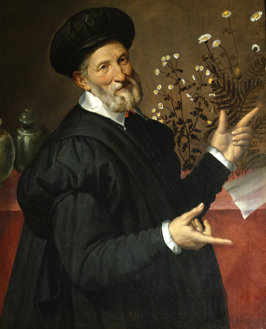 Il botanico da Bartolommeo Passerotti