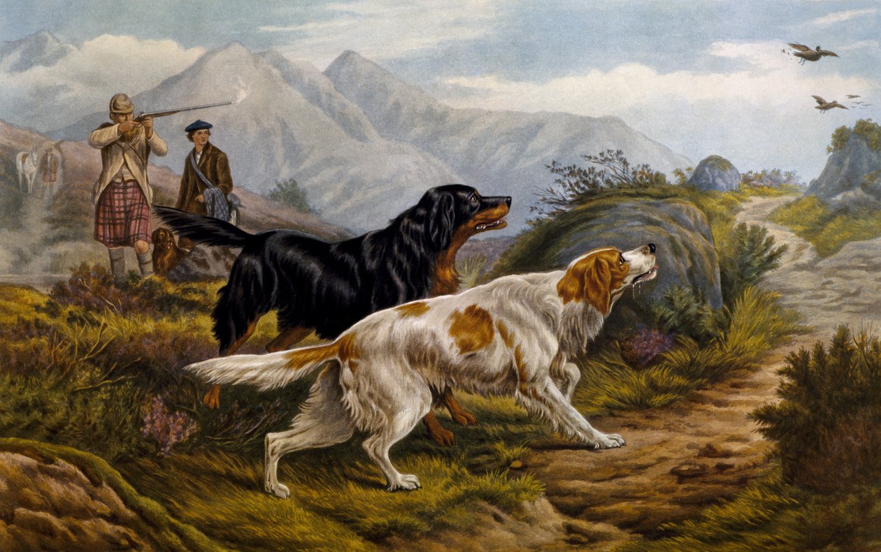 Caccia alla pernice da Basil Bradley