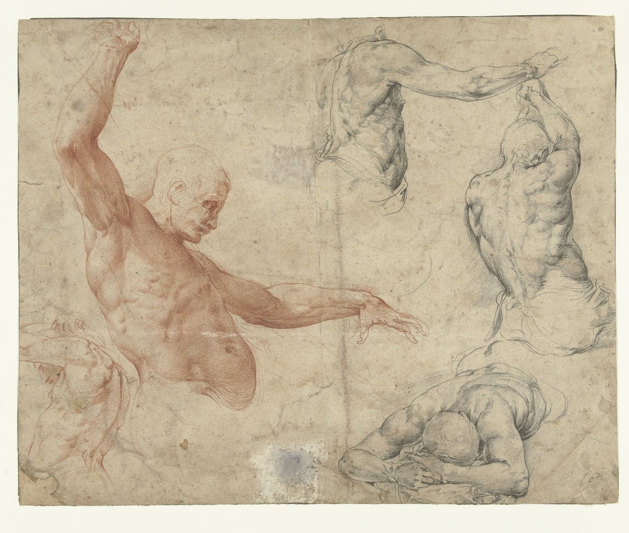 Studi di nudo maschile da Battista Franco