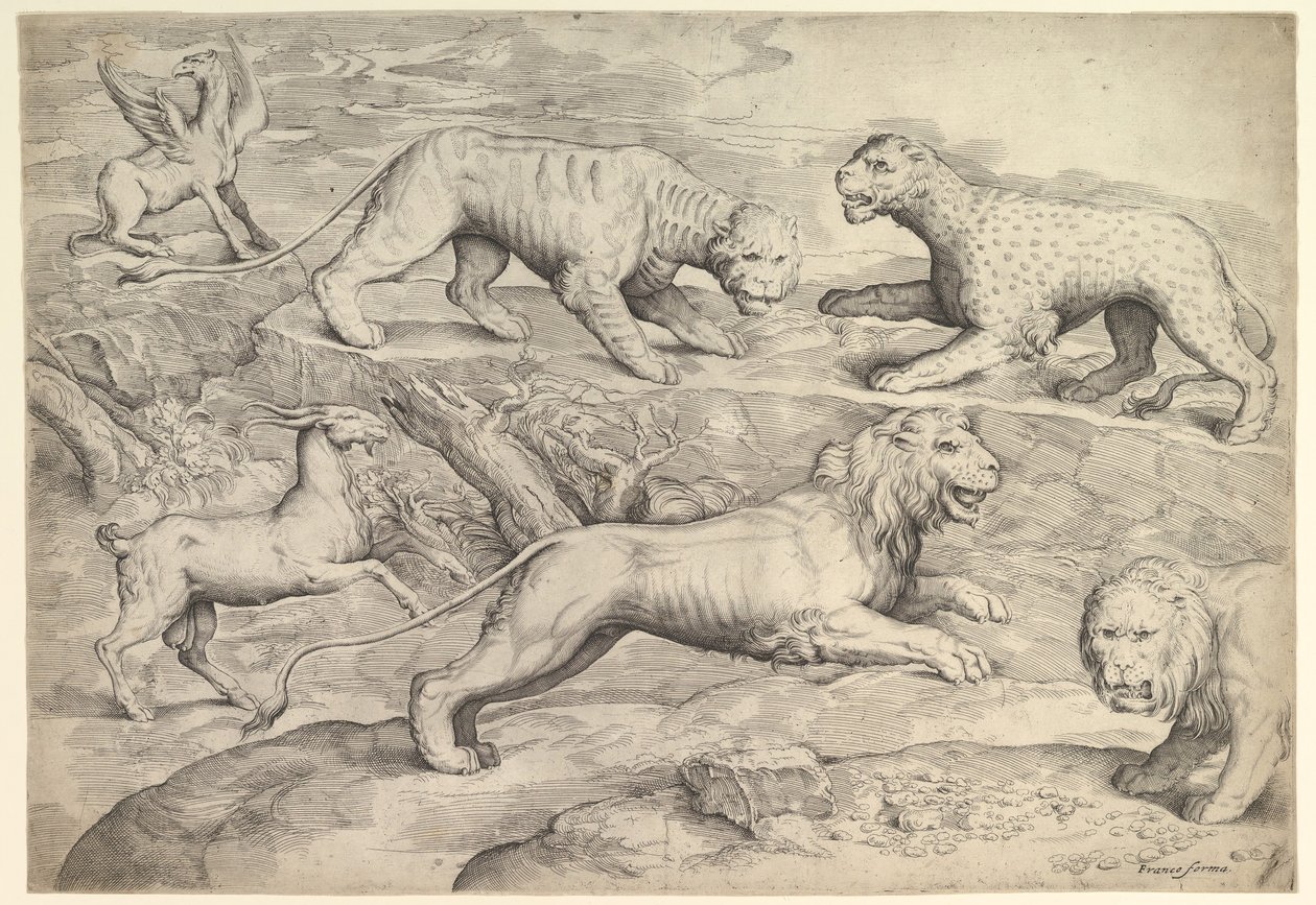 Sei animali, tra cui leoni, una tigre, un leopardo, un grifone e una capra, ca. 1530-61 da Battista Franco Veneziano