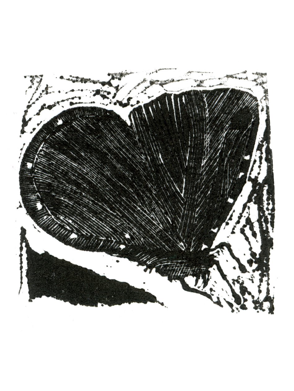 Falena scura, 2013 da Bella Larsson