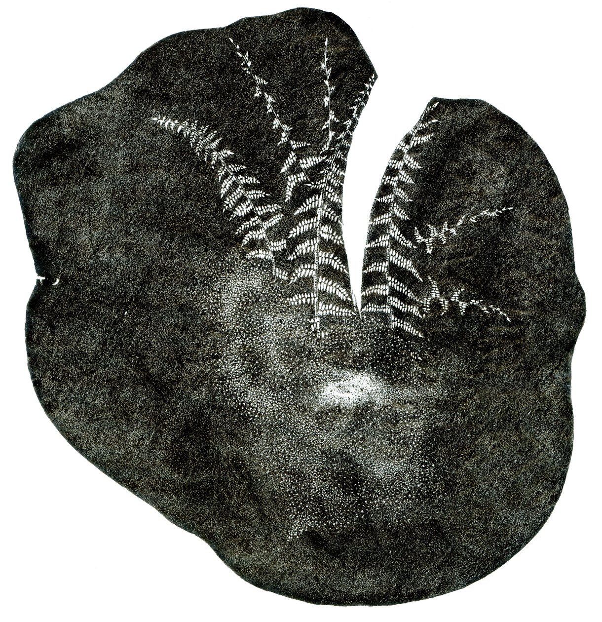 Espira, 2014 da Bella Larsson