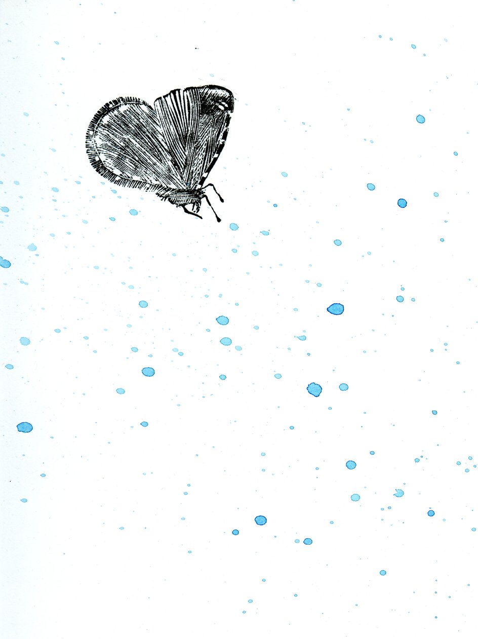 Falena {Fay-erie Dust}, 2014 da Bella Larsson