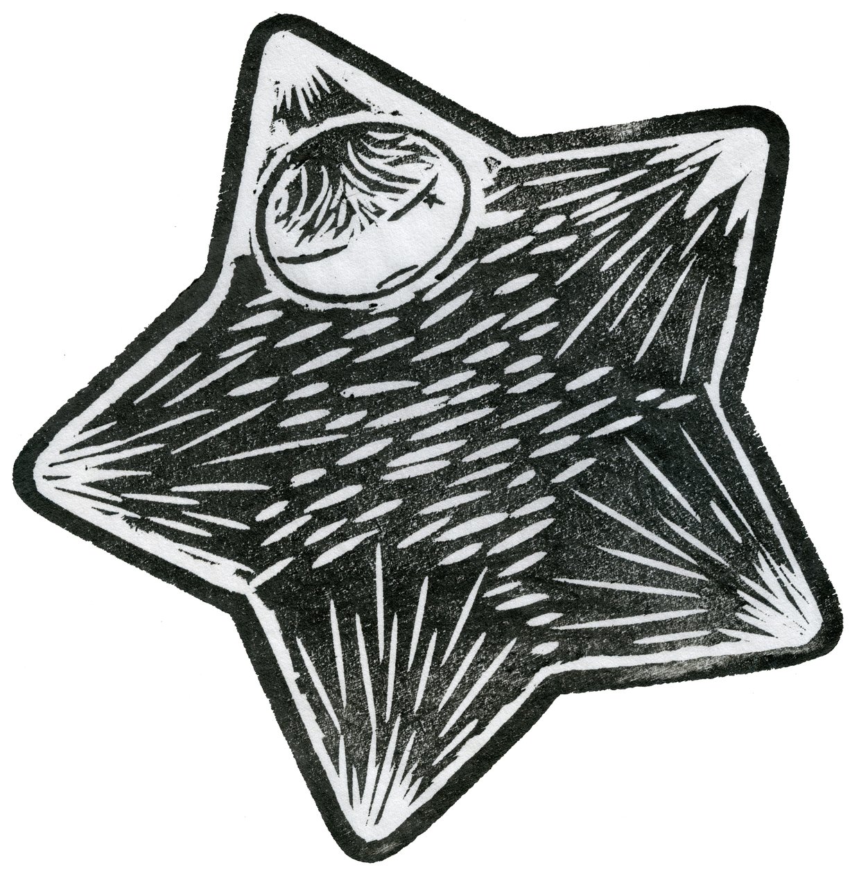 Bambino delle Stelle, 2013 da Bella Larsson