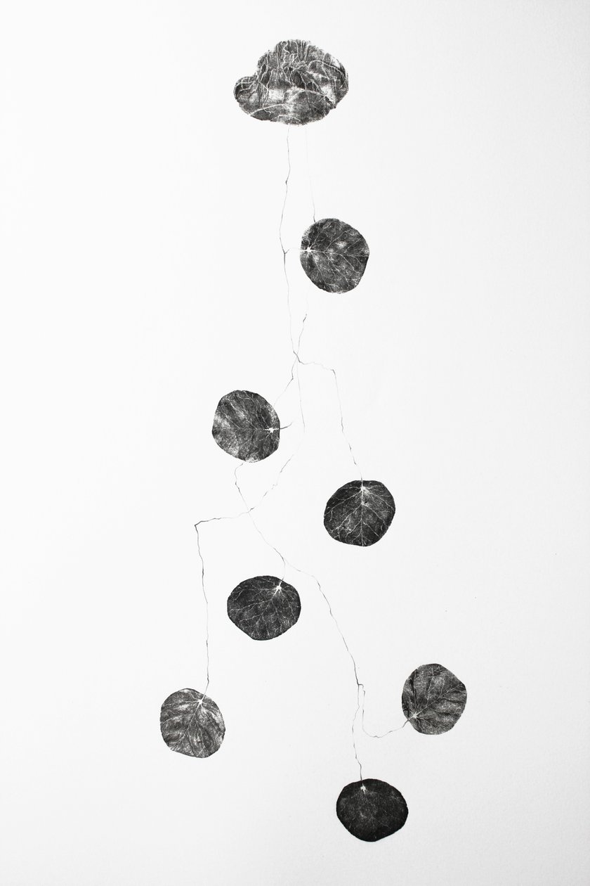 Vessel, 2014 da Bella Larsson