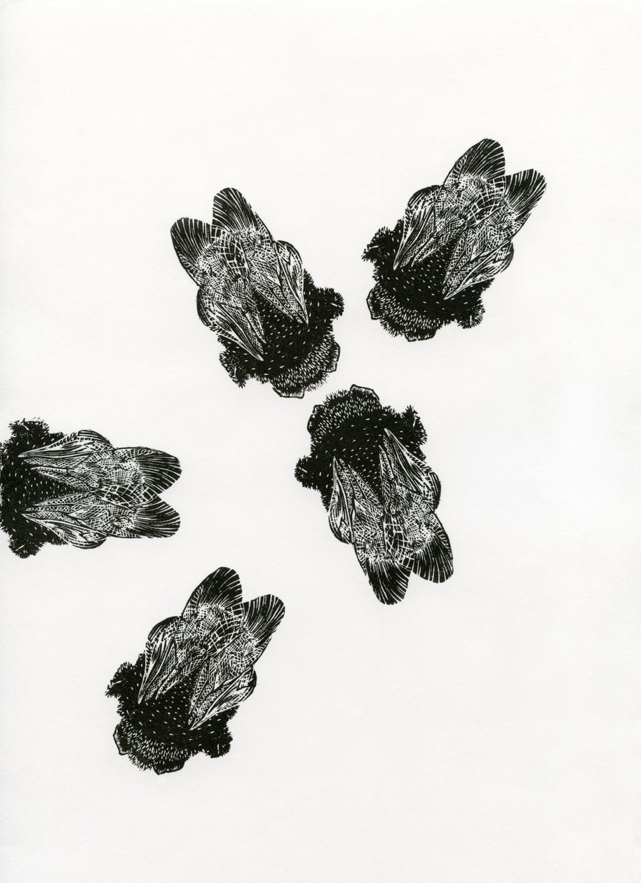 Riunione dei bombi, 2013 da Bella Larsson