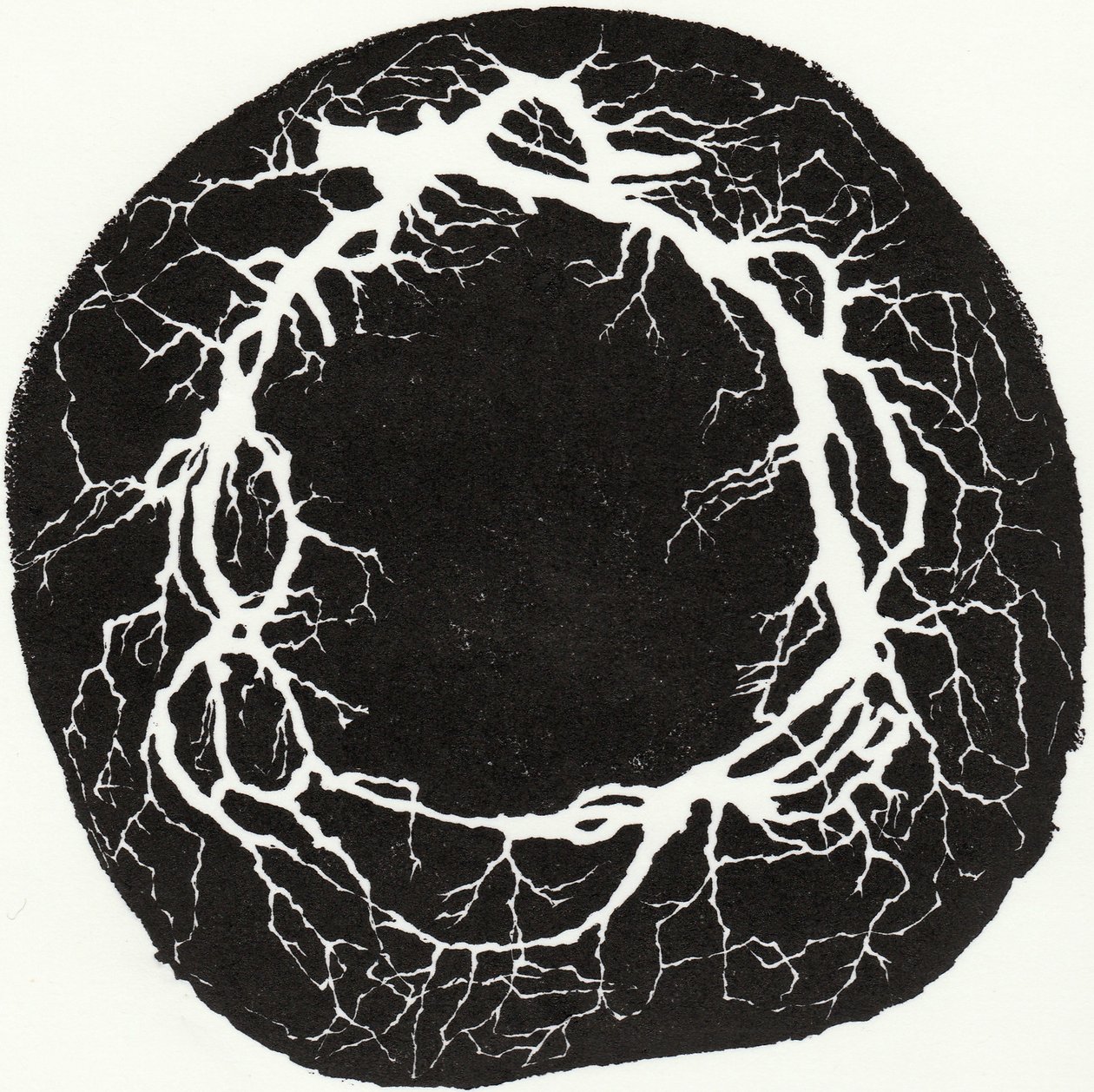 Corona di radici, 2019 da Bella Larsson