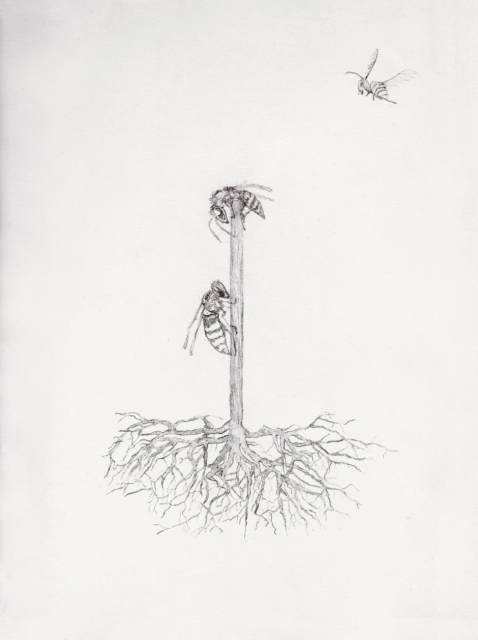 Albero di Vespe da Bella Larsson