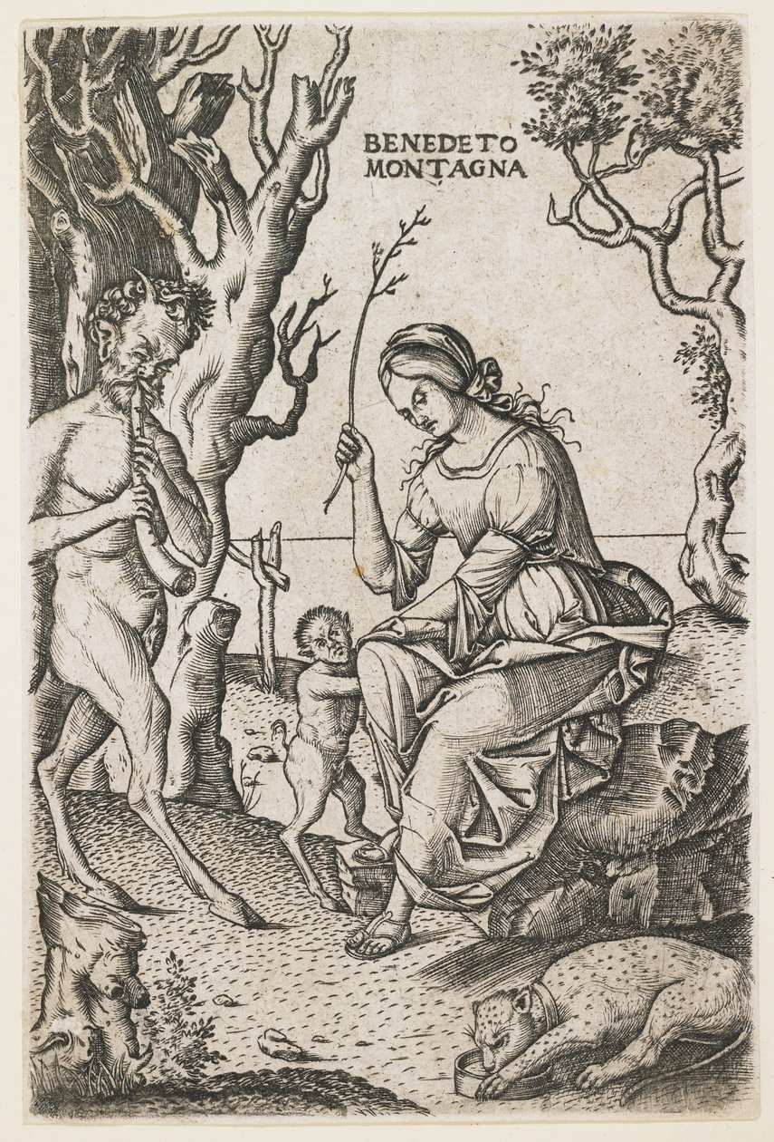 Famiglia di Satiri, c. 1520 da Benedetto Montagna