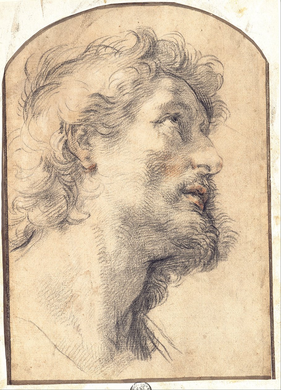 Studio della testa di San Crispino da Benedetto Luti