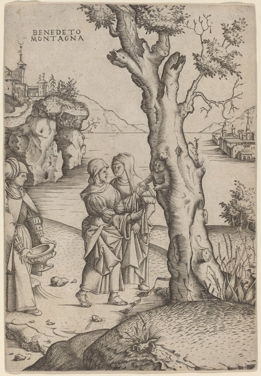 Nascita di Adone da Benedetto Montagna