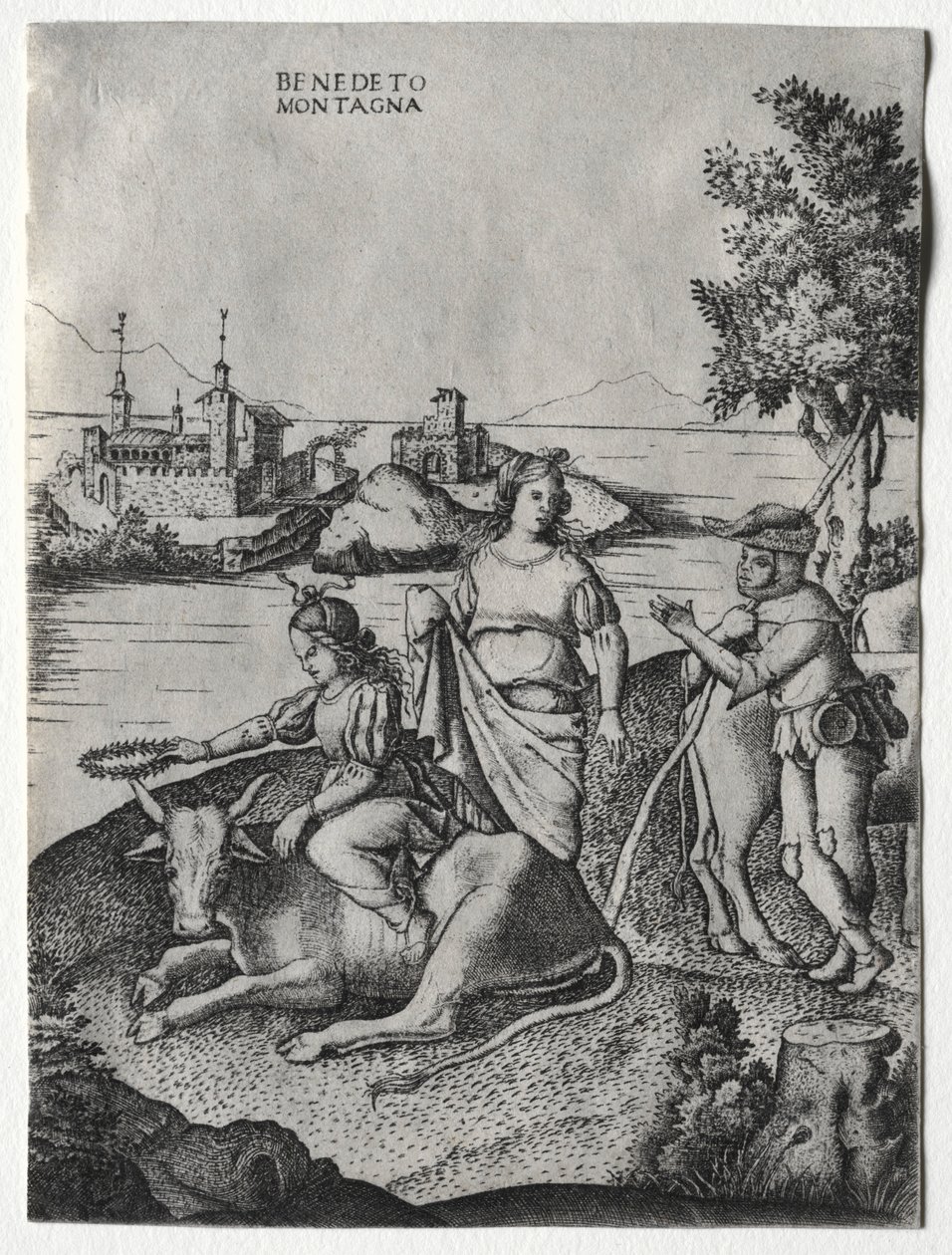 Ratto di Europa, c. 1515-1520 da Benedetto Montagna